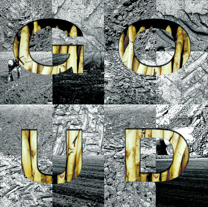 GOUD 01- Kunst van de Korte Keten- 2023