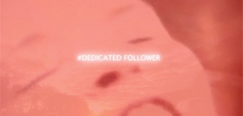 Dedicated Follower art video installation