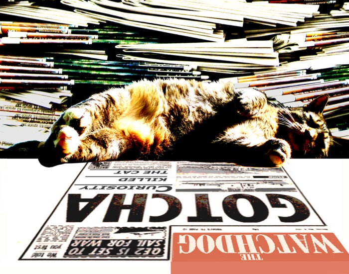 Curiosity Killed The Cat / art print 100/70 cm