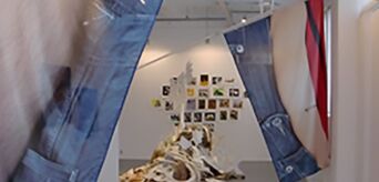 CURATORSHIP