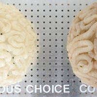 Silicon Valley  - Silicon brains and transfer characters on a metal plate - 50 x 25 cm - 2025 Silicon Valley - Silicon brains and transfer characters on a metal plate - 50 x 25 cm - 2025