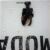 Langoustine A la Mode verbal no. 103.Onderdeel van de Remains Of Today serie.