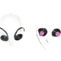 Insects- Foto assemblage portret met snoep- Duo Ongezoet 2006 Insects- Duo Ongezoet 2006