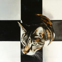 Plus One - acryl op canvas 70 x 70 cm -Side Show serie -2025 Plus One - acryl op canvas 70 x 70 cm -Side Show serie -2025